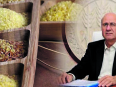 Mezopotamya’nın altın saçlı kızı İpek Bulgur Avrupa’da