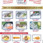 Fisch Holland