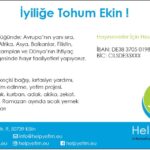 HelpYetim