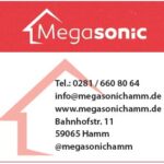 Megasonic