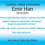 Ozturk-Emir-Han