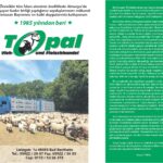 Topal