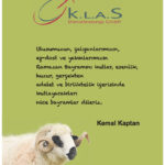 K.L.A.S-Dienstlesitungs-GmbH