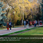 15_siteDSC_6086