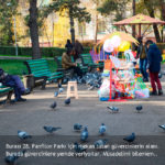 18_site_park