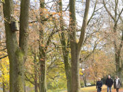HAVALAR SOĞUYUNCA DEĞİL, YÜREĞİ SOĞUYUNCA BAŞLAR İNSANIN SONBAHARI Almanya-Bielefeld kalesinde (Sparrenburg) bir Sonbahar yürüyüşü.. Foto: Adnan Öztürk