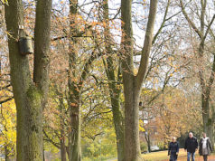 HAVALAR SOĞUYUNCA DEĞİL, YÜREĞİ SOĞUYUNCA BAŞLAR İNSANIN SONBAHARI Almanya-Bielefeld kalesinde (Sparrenburg) bir Sonbahar yürüyüşü.. Foto: Adnan Öztürk