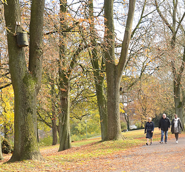 Almanya-Bielefeld kalesinde (Sparrenburg) bir Sonbahar yürüyüşü.. Foto: Adnan Öztürk