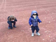 Nasıl kıydın bu yavrulara? Almanya'nın Bielefeld şehrinde meydana gelen acı olay, çevrede büyük üzüntü yaşattı.