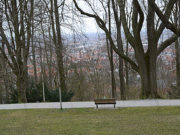 KORONA GÜNLERİNDE PAZAR NOTLARI Ağaçlar arasında Bielefeld.