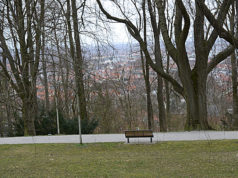 KORONA GÜNLERİNDE PAZAR NOTLARI Ağaçlar arasında Bielefeld.