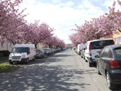 Bielefeld’de muhteşem çiçek görseli Bielefeld, Auf dem Langen Kampe sokağı.