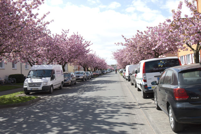 Bielefeld, Auf dem Langen Kampe sokağı.