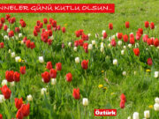 Anneler Günü Kutlu Olsun..