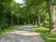 Bayanlar için fotoğraf kursu