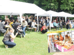 Denizli Kültür Derneği‘nin „9. Yaz Şenliği“ yağmura rağmen dolo dolu geçti